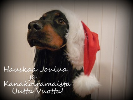 Hyv� Joulua!