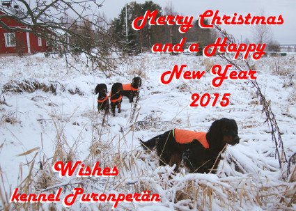 Merry Christmas!