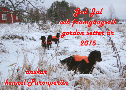 Gud Jul!