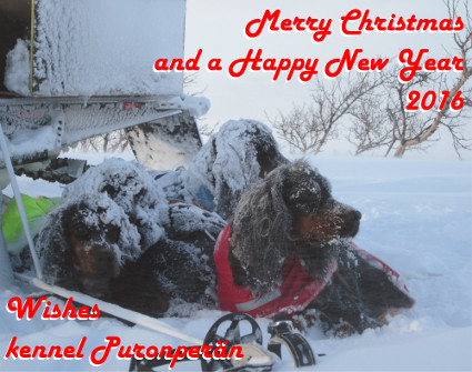 Merry Christmas!