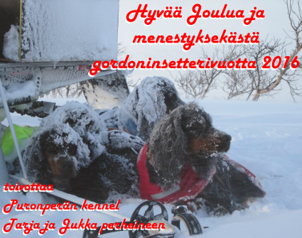 Hyv�� Joulua!