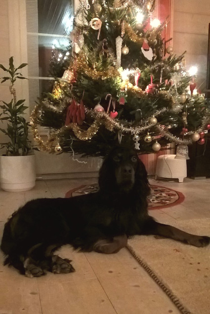 Vito