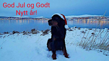 Endre