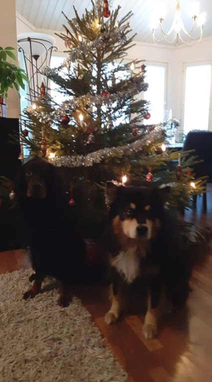 Aarre ja Unski