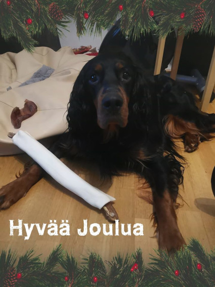 Jörö