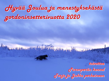 Hyv�� Joulua!