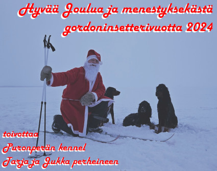 Hyvää Joulua!