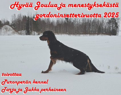 Hyv�� Joulua!