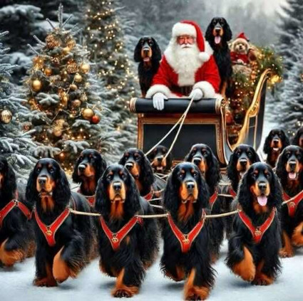 Hyvää joulua!