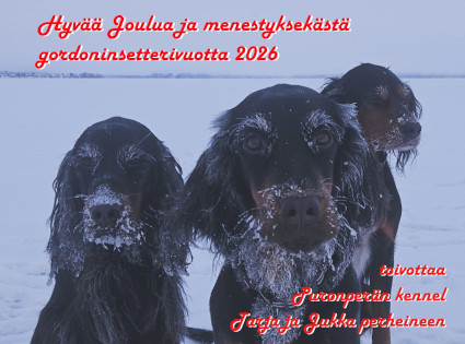 Hyv�� Joulua!
