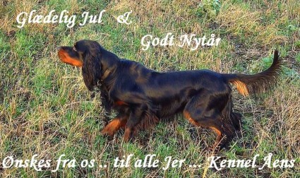Kennel �ens