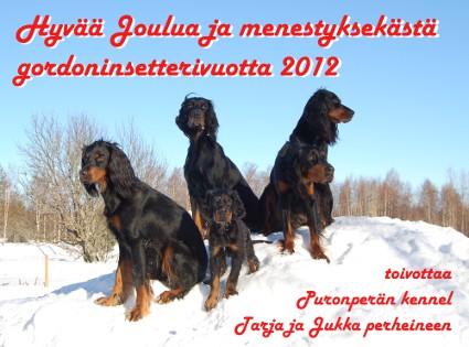 Hyv�� Joulua!